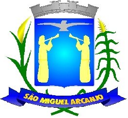 Brasão do município de São Miguel Arcanjo